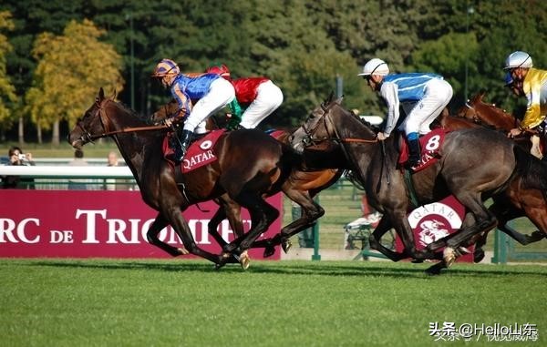有一种生活叫那香海，那里是真的美！
