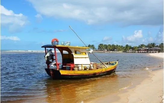 速冻海鲜和冷冻海鲜有什么区别,冰冻海鲜和新鲜的口感区别大吗