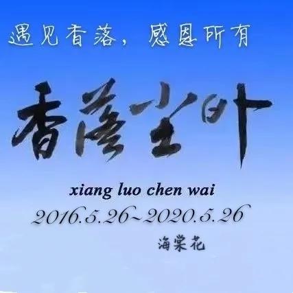 晚会精彩回放,晚会回顾完整版视频