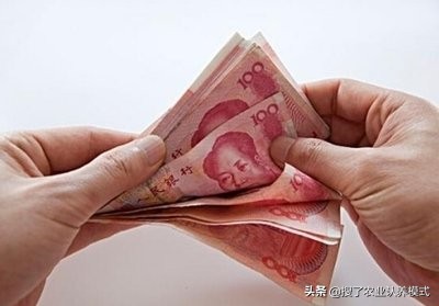 2019年农村创业新商机,农村创业商机排行榜最新