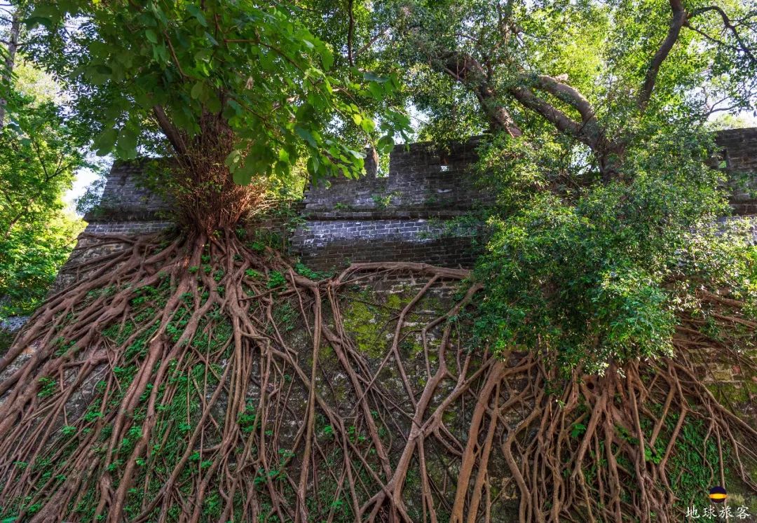 关于长城你了解多少,长城是中国文化的瑰宝吗