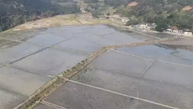 如何捕鱼跳跳鱼,野生跳跳鱼养殖