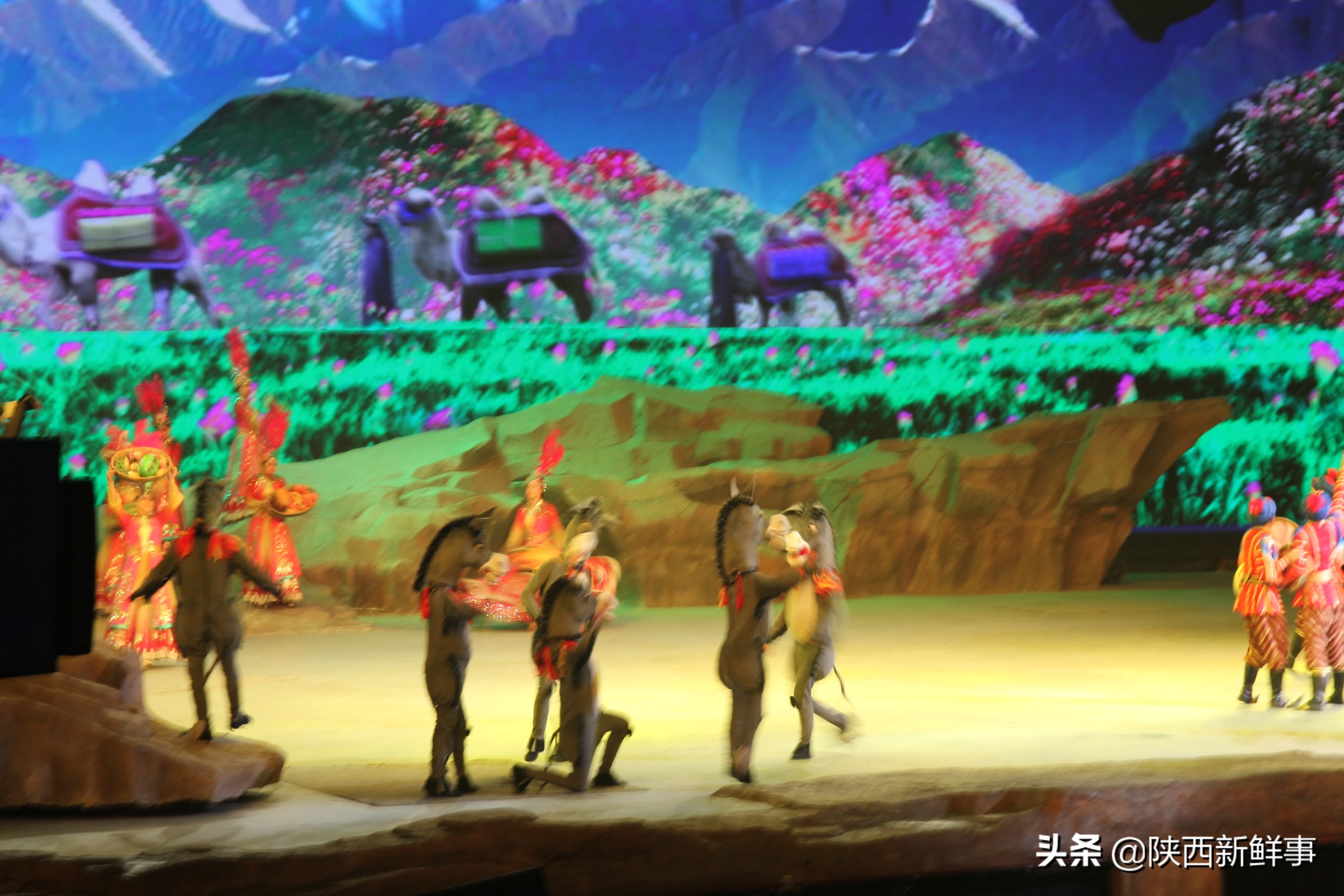 放飞海洋梦想感受丝绸传奇观后感,放飞海洋梦想感受丝路传奇研学题