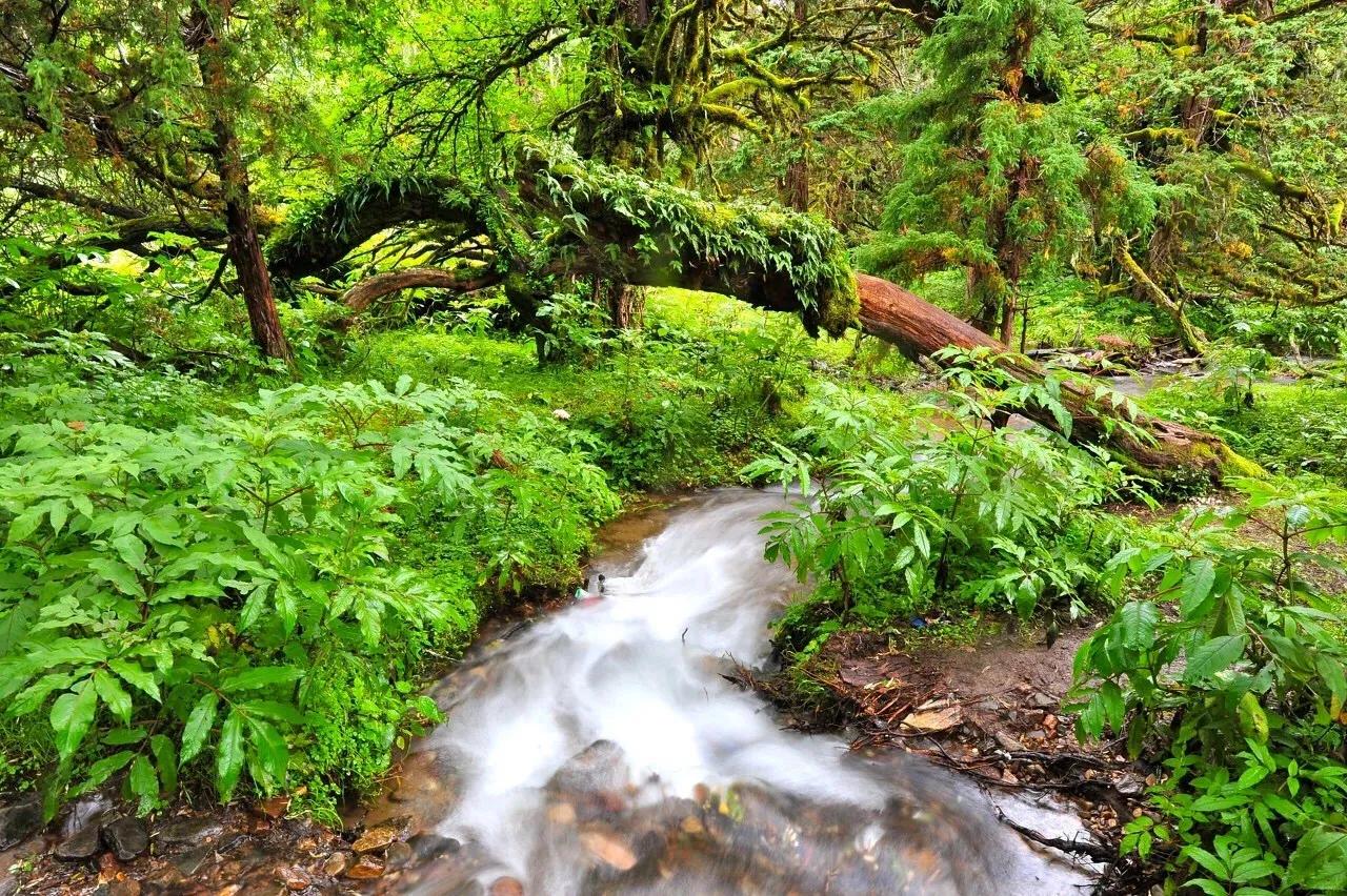 中国唯一不收费的高速公路,中国旅游风景最好的四条高速