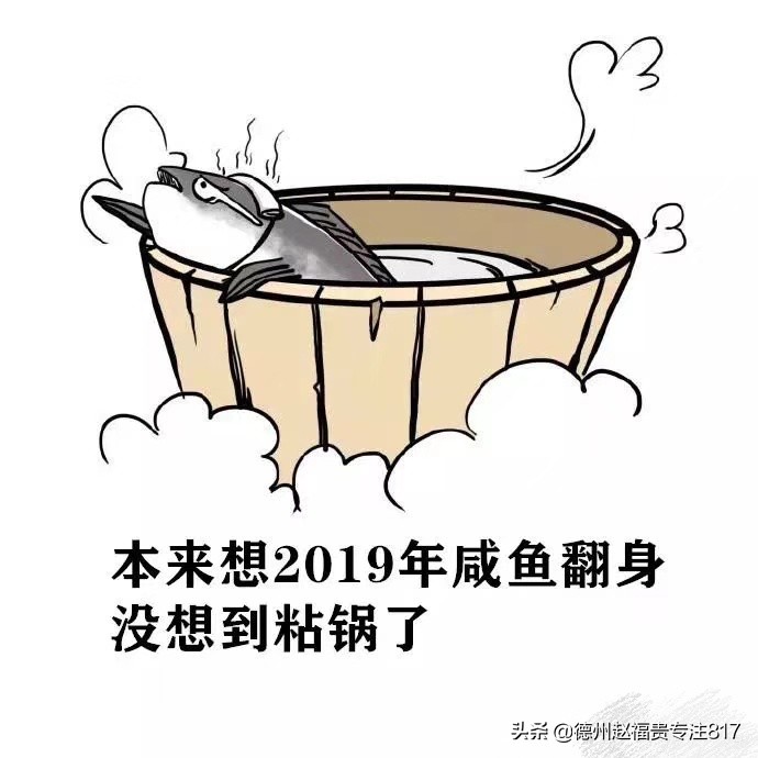 周口817肉杂鸡今日行情,2018年3月25日817肉杂鸡价格