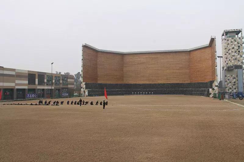 世警会真的来了吗,世警会即将举行完整版