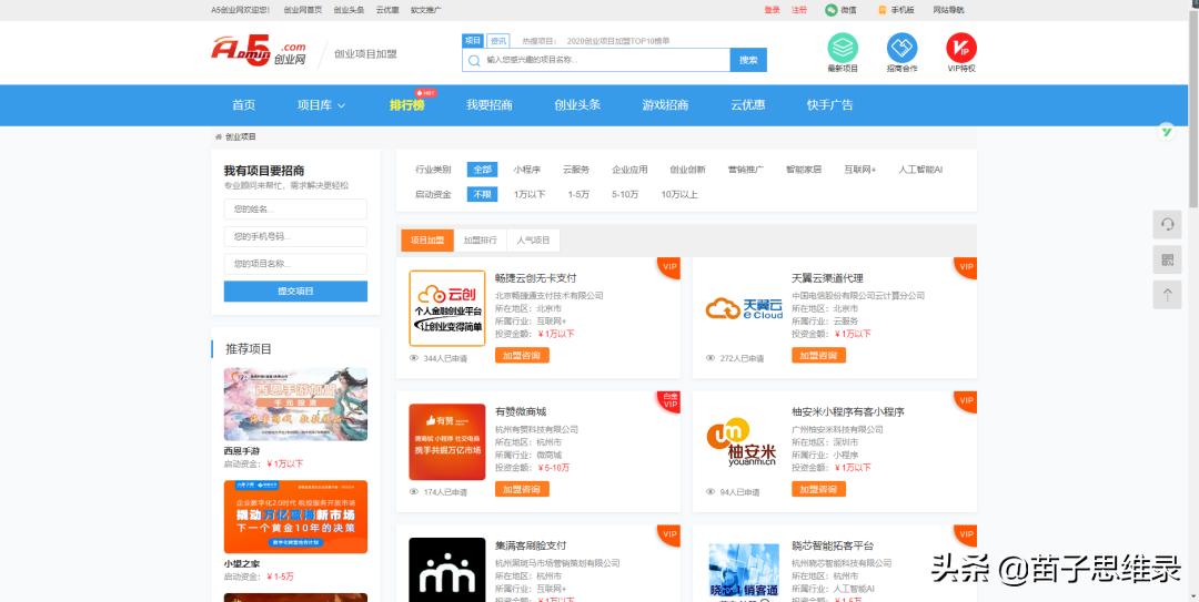苗子创业,2020做什么网站赚钱最好