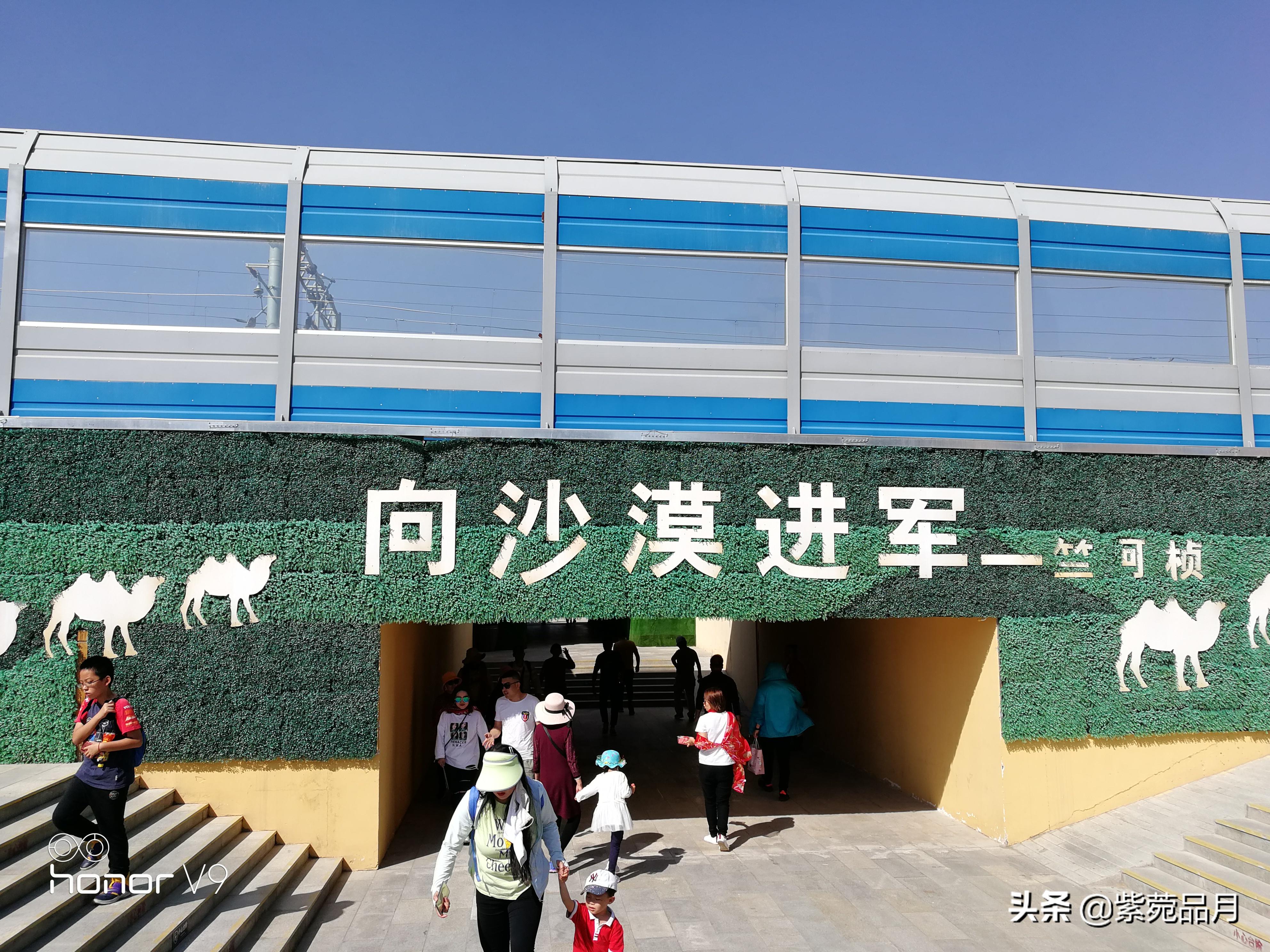 沙坡头旅行三天花费,沙坡头景区