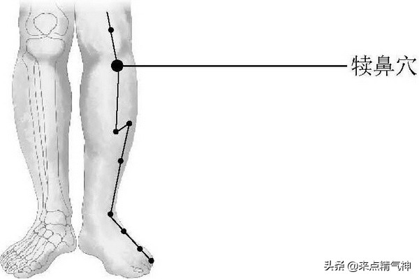 腿发软，脚没劲儿，膝盖气血要净化！满足这2个条件才可