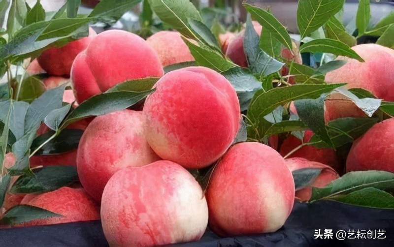 全国农产品地理标志分布地图,全国地理标志农产品