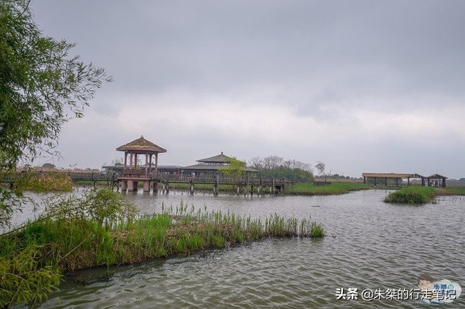 江南最大湿地风景区，不是西溪湿地，荣获中国最美湿地却少有人知