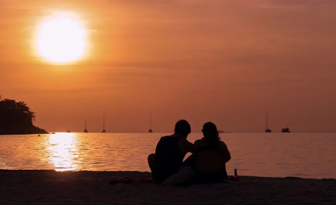 恋恋丽贝岛，人狗情未了|KohLipe