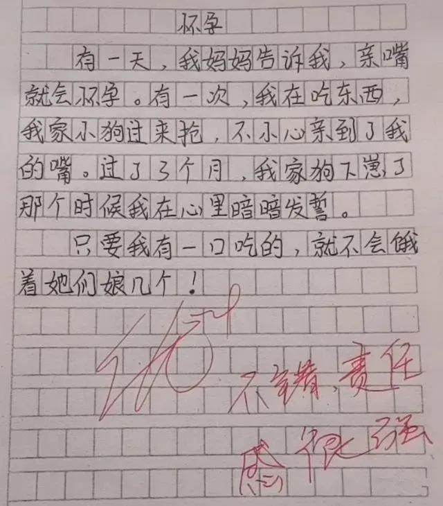 小学生作文笑翻网友,怀孕作文火了