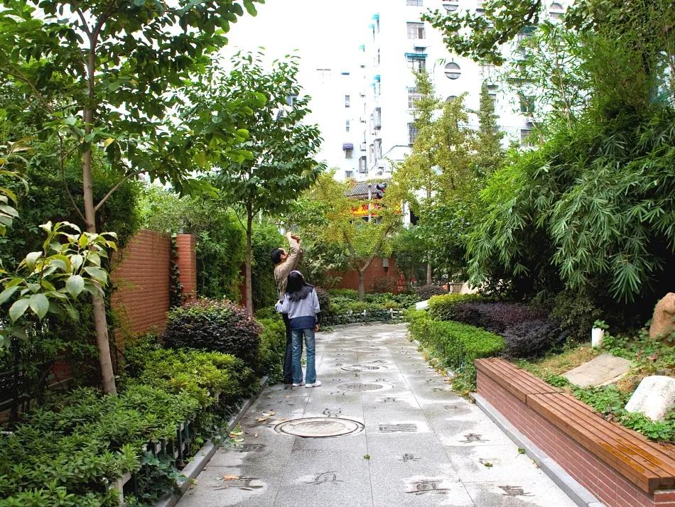 最美的风景美丽的校园,最美的风景就是校园