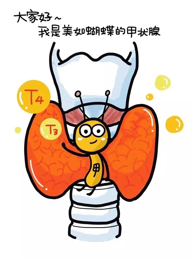 组织器官部分缺失是什么,我们缺失器官可以活多久