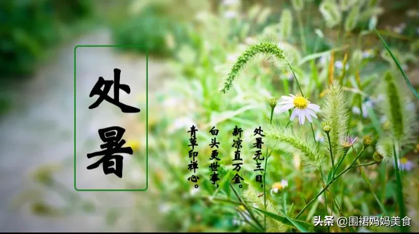 什么菜适合秋天吃晚餐,秋天适合吃什么下饭菜菜谱