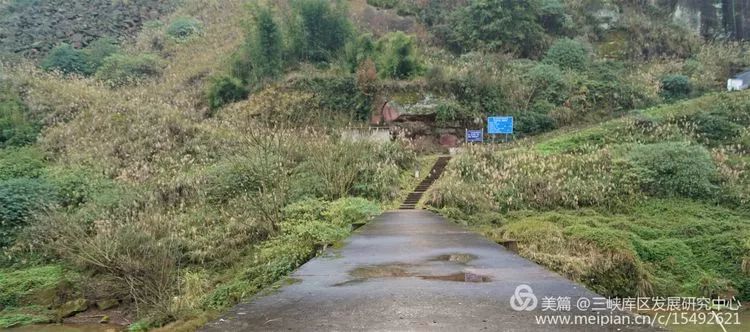 北碚复兴镇最近的视频,重庆市北碚龙门桥