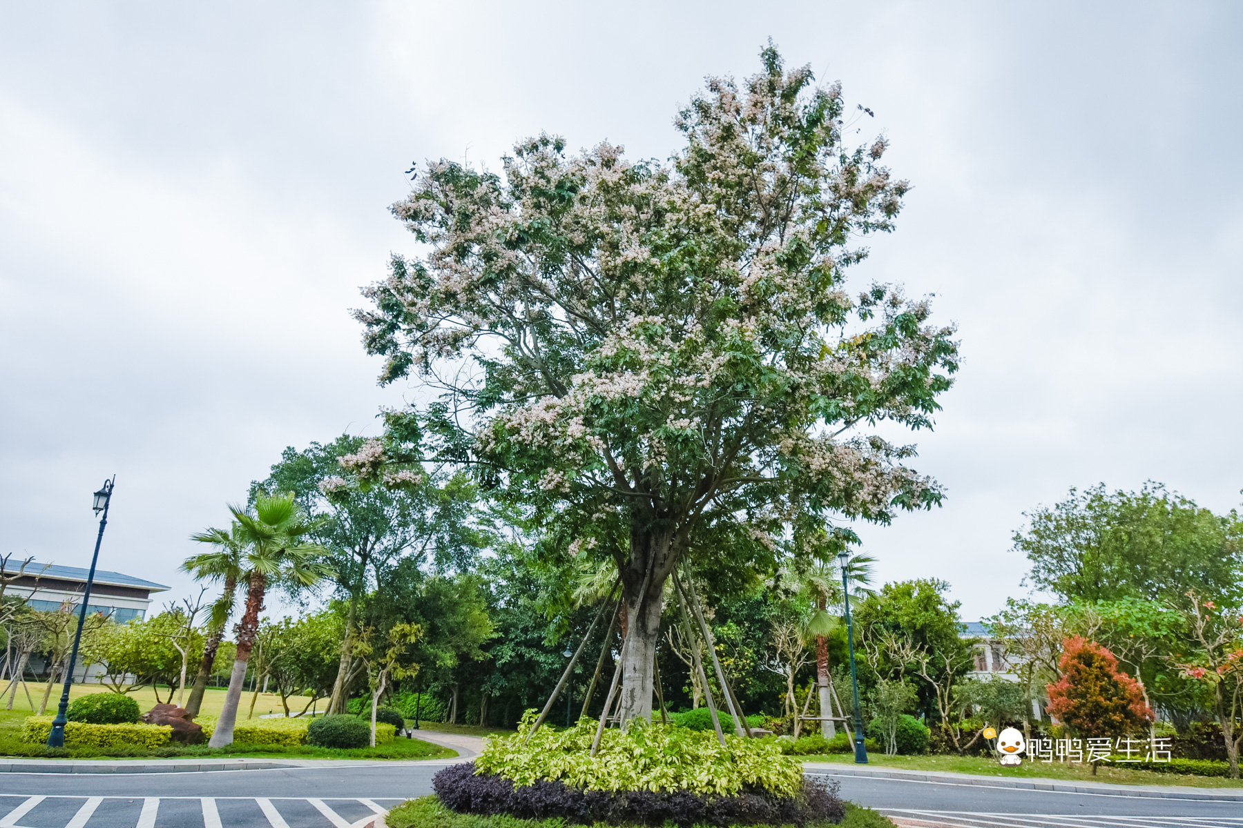 旅行厦门海悦山庄攻略,五一来厦门旅游