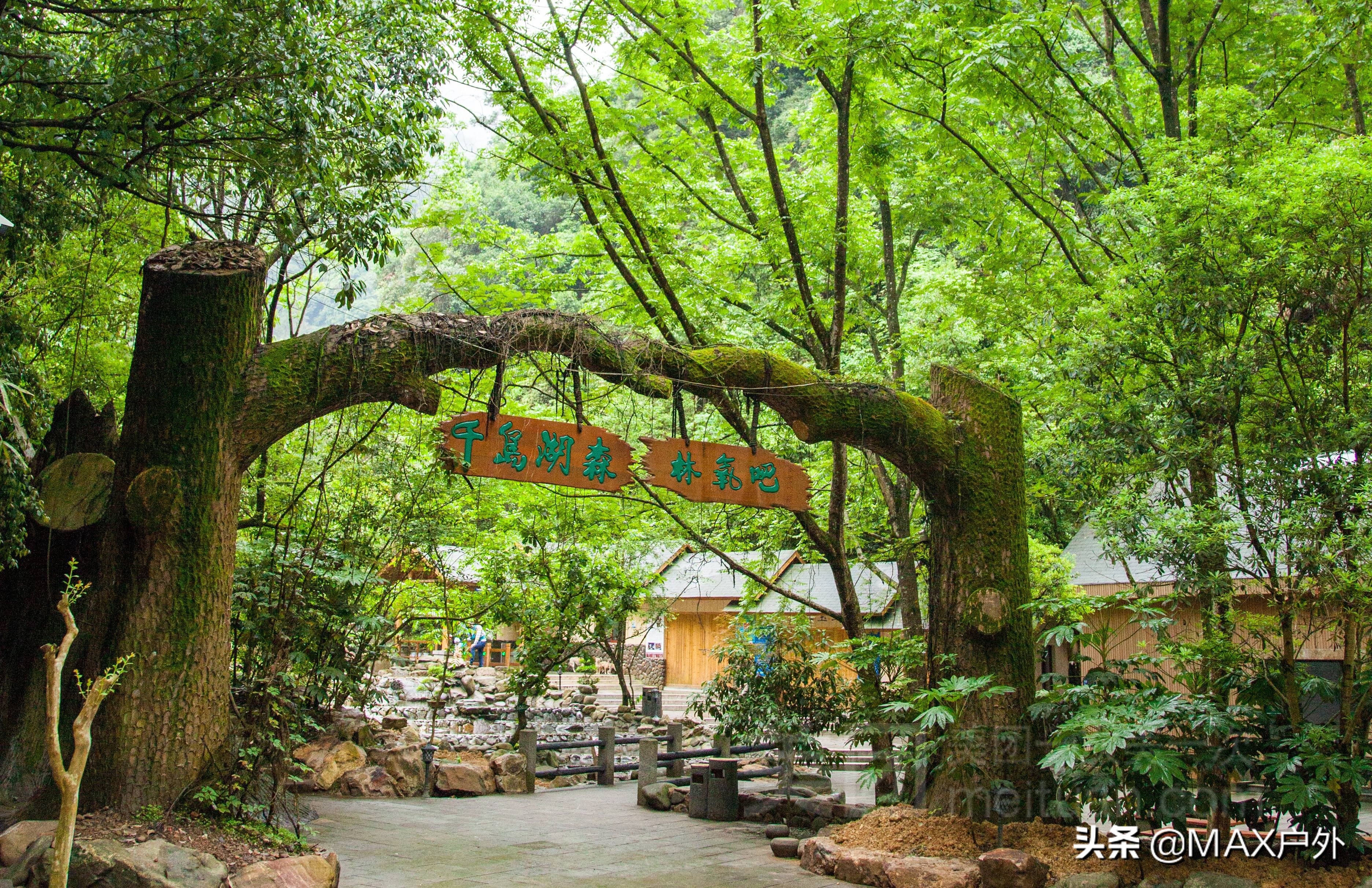 开启你的天然氧吧洗肺之旅,富氧洗肺好去处