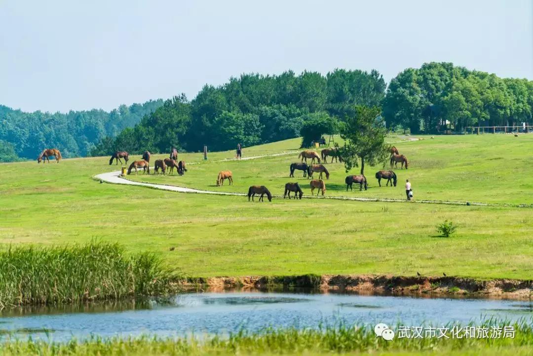 武汉国庆旅游攻略文案,武汉文旅国庆