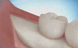 科普张姿势动图：感觉自己姿势又涨了100点