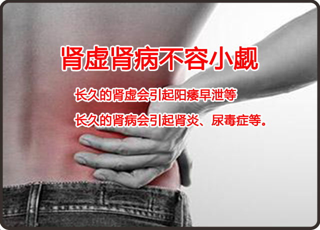 肾虚肾病的症状和治疗方法,肾虚并非肾病女性更应护肾