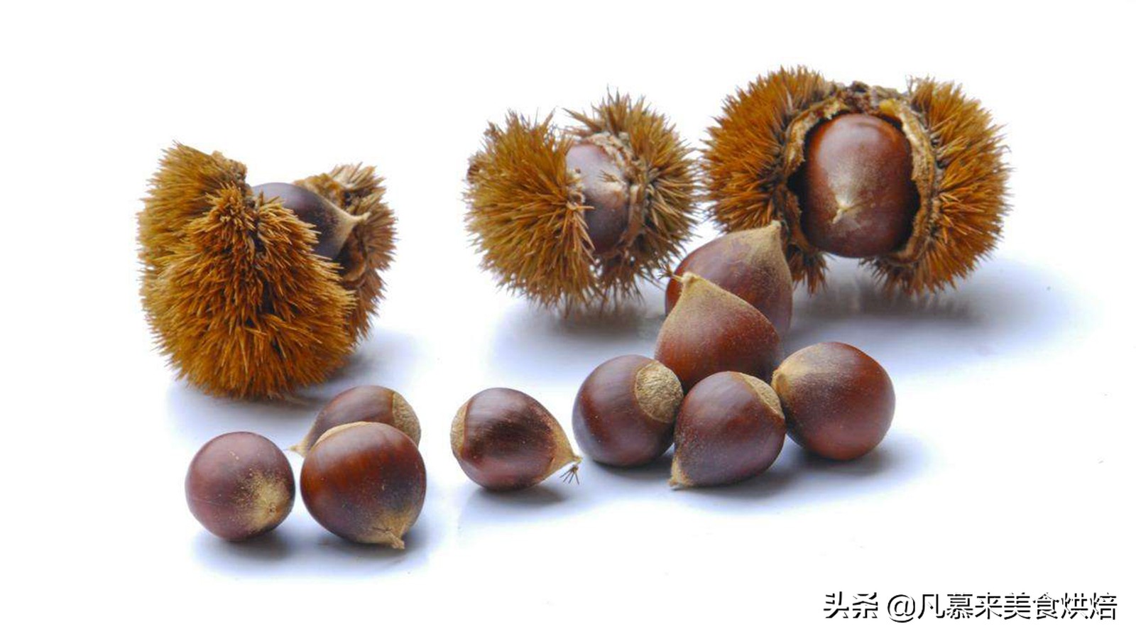 坚果中最有营养的是什么坚果,13种常见的坚果哪种坚果最有营养