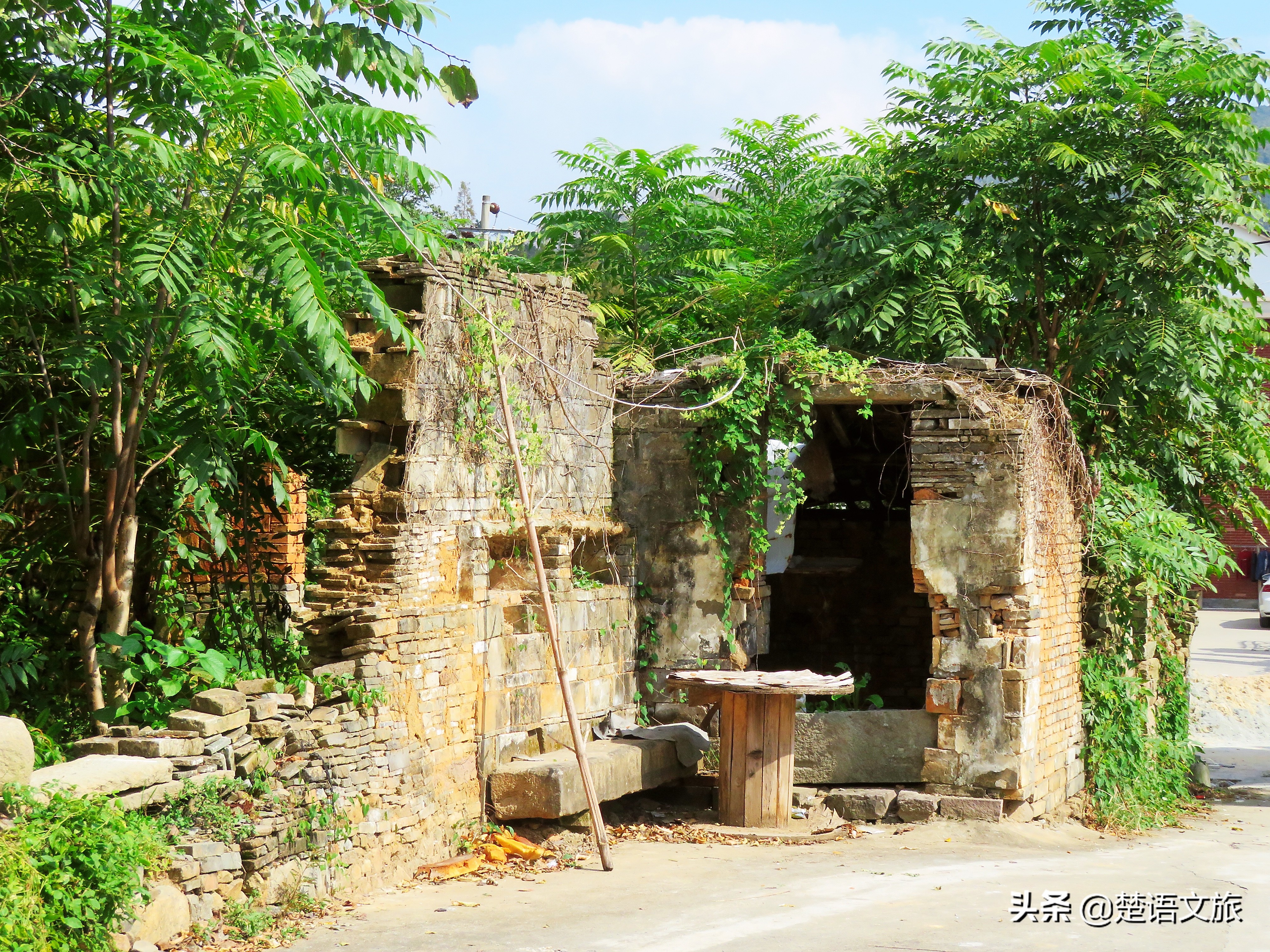 盛产杨梅而闻名的县是哪里,杨梅之乡余姚在什么省