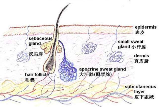 腋下多汗原因和治疗方法,脚手多汗腋窝多汗