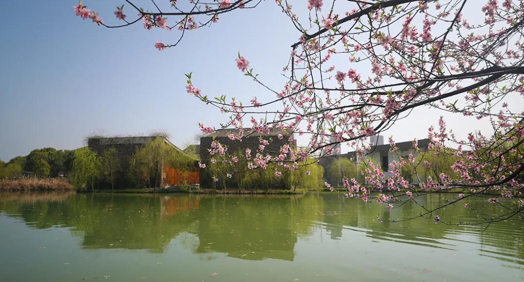 杭州美职学校风景,杭州美丽学校评选