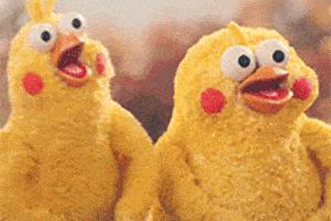 最新托育幼儿园招生,北京哪些幼儿园有托班招收2-3岁