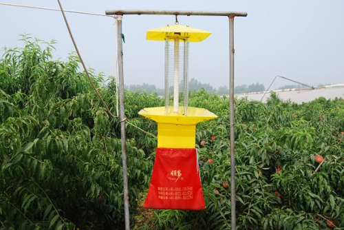 桃树蚜虫什么时间用药防治最好,桃树蚜虫从什么开始防治