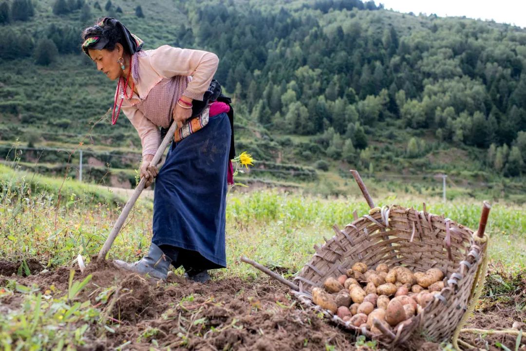 致敬脱贫攻坚一线的每一位战友,在脱贫攻坚一线的战友