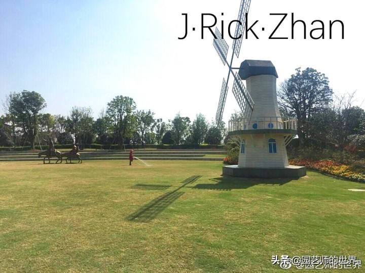 怎样种植草坪技术,果岭草坪的种植养护方法及技巧