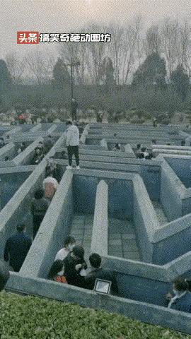 动图搞笑瞬间,遇事不要慌搞笑动图