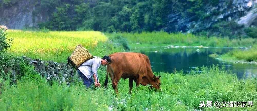 郑吉平:啊咿哟啊咿哟