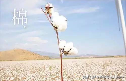 muji无印良品探店,无印良品mujicafe