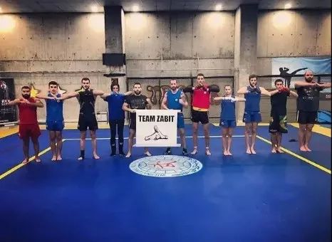 散打介绍简短文字,散打文章