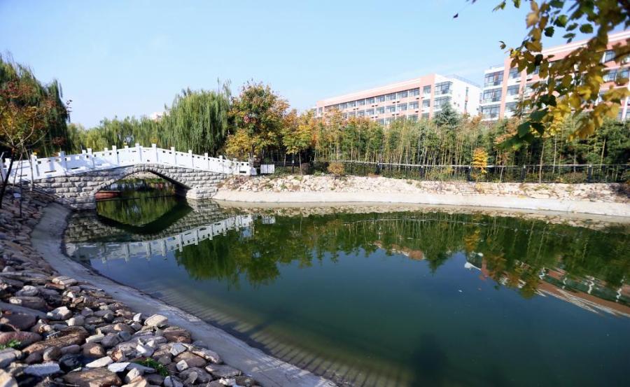 青岛通济实验学校教学质量,青岛通济实验学校简介