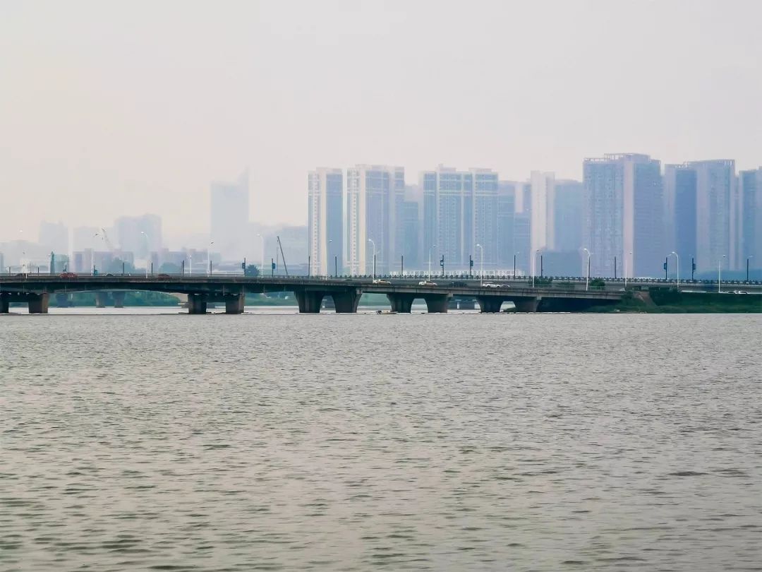 全国第一！华中农业大学真是太太太牛了