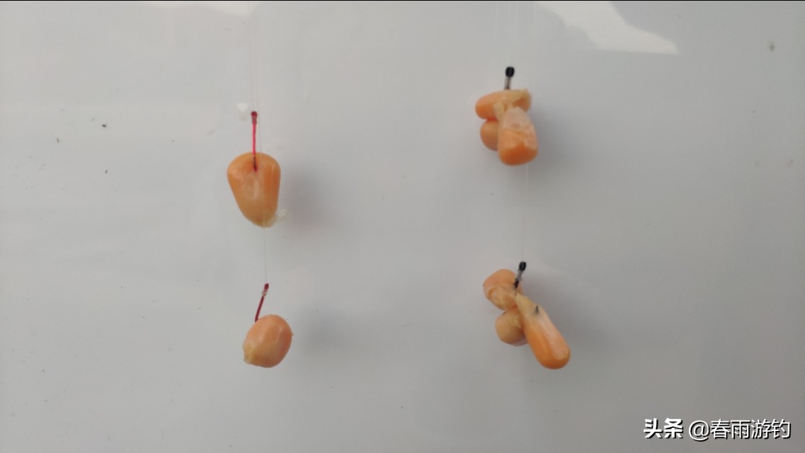 玉米挂钩的正确钓法,反底钓玉米如何挂钩