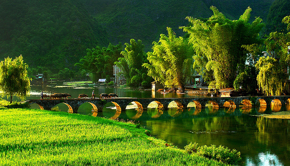 乡土散文一句话,乡土散文水乡农家