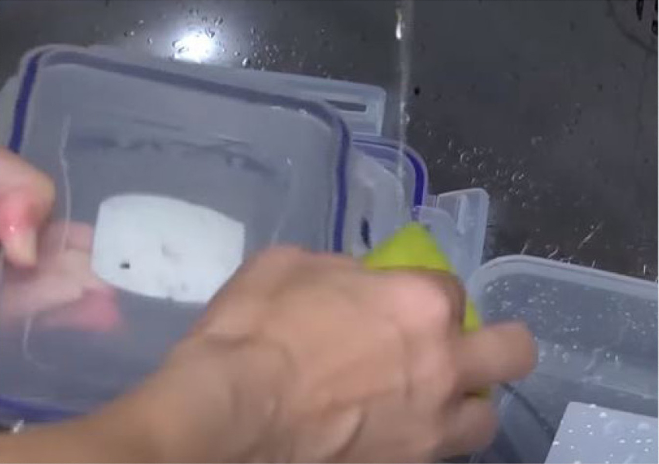 儿童食物饭盒胶圈暗藏致病菌，对孩子健康影响大，家长务必要牢记