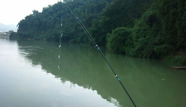 抛竿的使用方法及钓鱼技巧,春季抛竿钓鲫鱼饵料