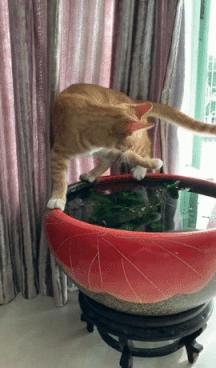 看了整整七分钟，他们最终还是上去了