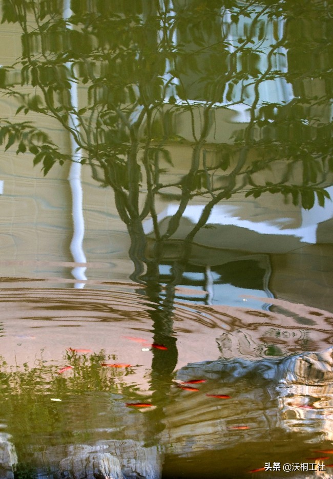 祥泰之州,祥泰之州意思