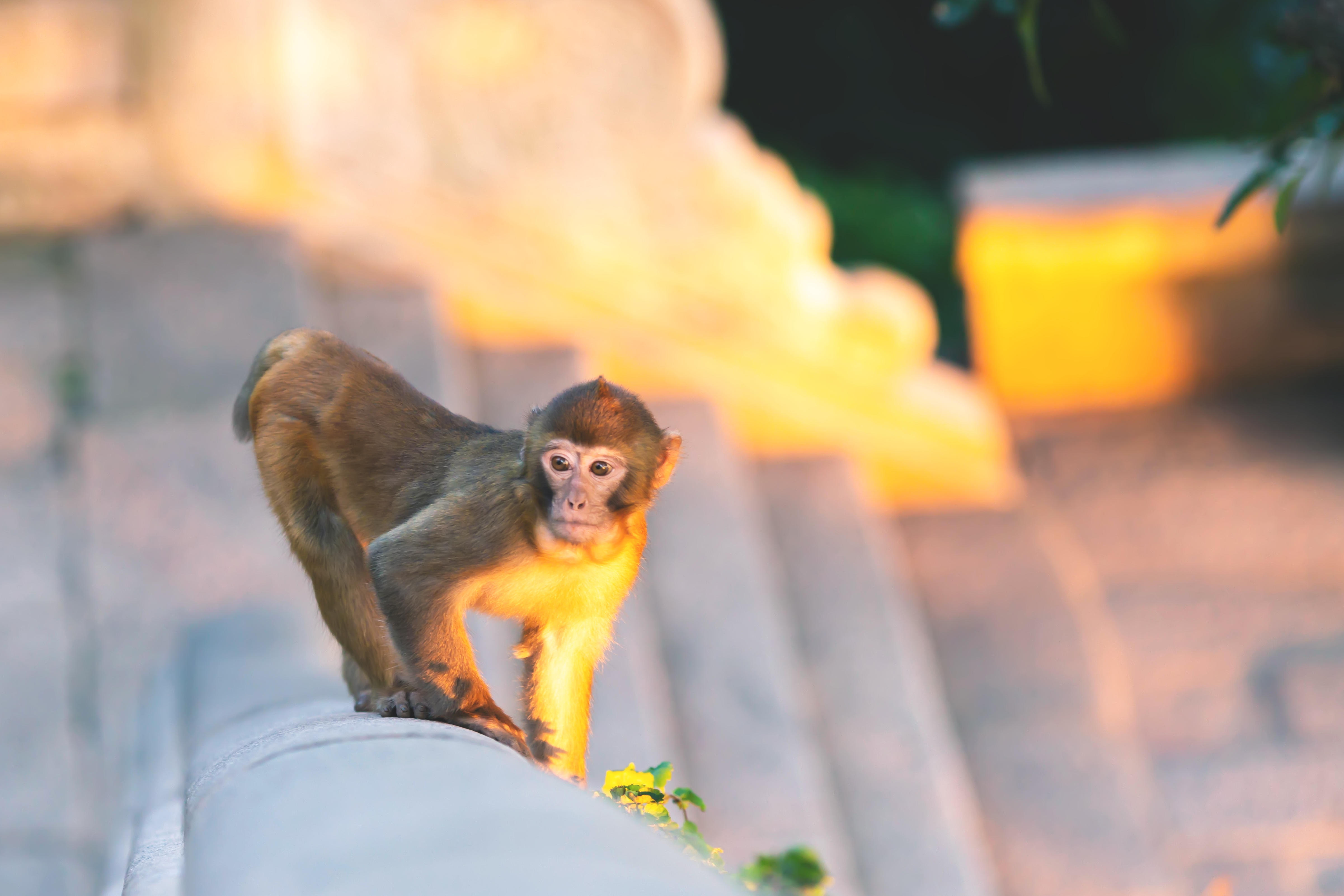 花果山景区的游玩攻略,情侣花果山旅游攻略
