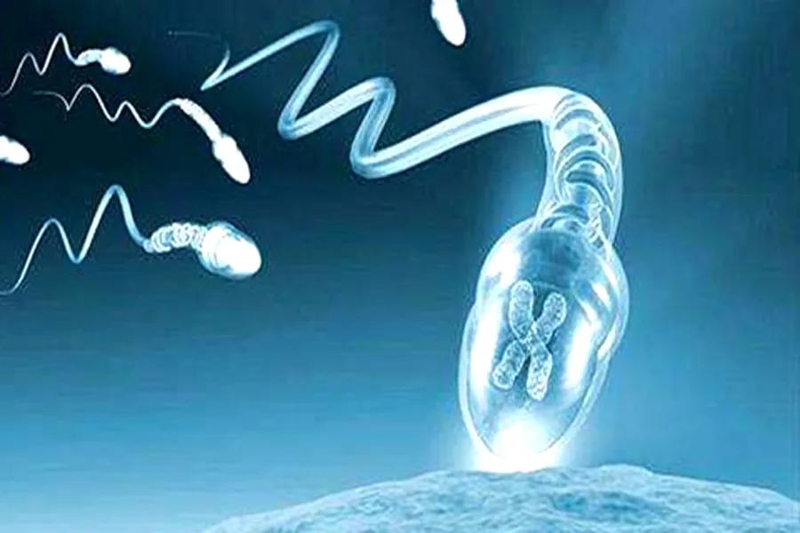 新冠肺炎男科后遗症,新冠肺炎康复者能备孕吗