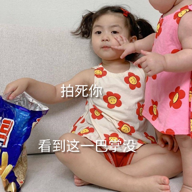 这都几点了表情包,表情包我已经回不去了