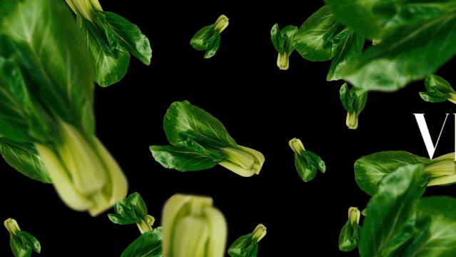 ppt动态环状图制作,ppt多图动态效果制作